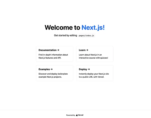Next.JS website development